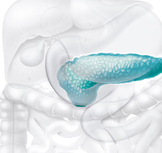 Pancreatite aguda: causas, sintomas e tratamento